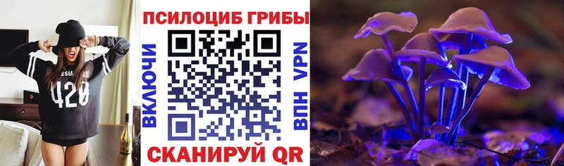 даркнет сайт  мега tor  Галлюциногенные грибы Cubensis  Гуково 